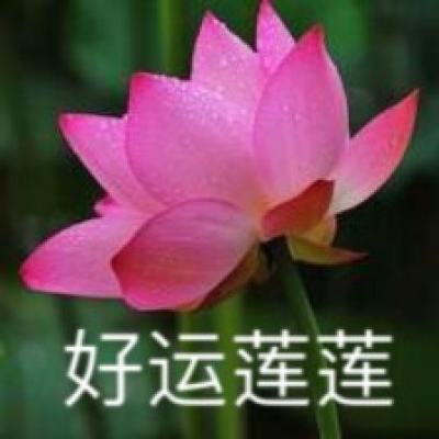 一拳成名手游下载